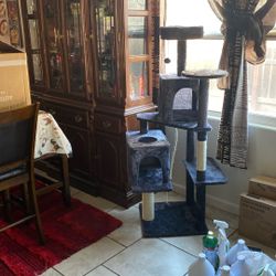 Brand new tree cat tree house good condition never been used. Just put together. Take out the box and put together Very Good Condition