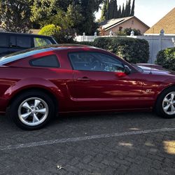 2008 Ford Mustang 