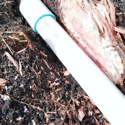 Sprinkler And Landscape 