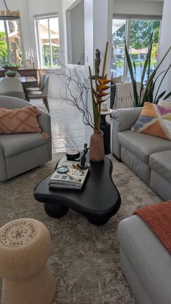 Modern coffee table Accent mate black High 12' w 27"L42" Mesa centro moderna precio especial moderna negro mate