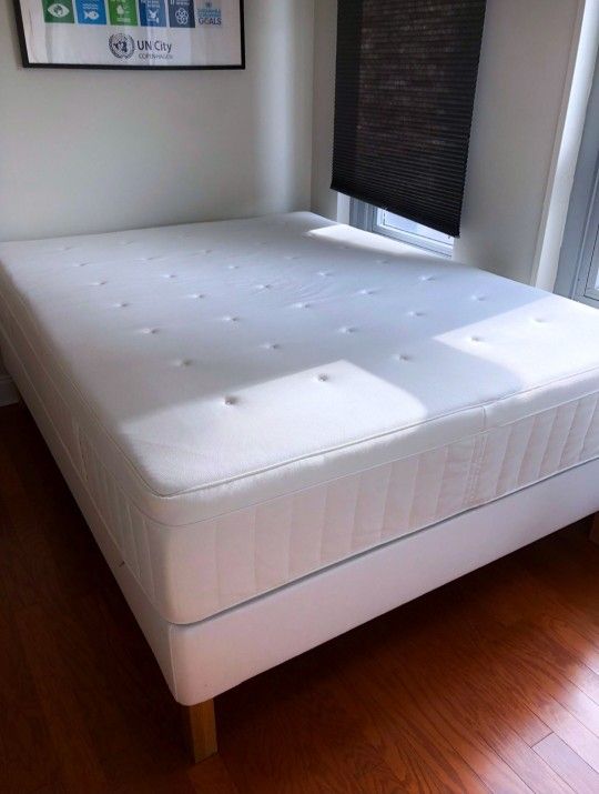 Newer Queen Ikea Hesstun Firm Eurotop Mattress, Boxspring, Bed Frame