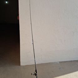 Spinning Rod And Reel