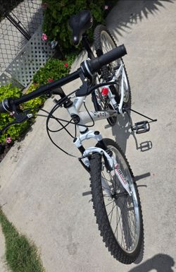 Mountain bike