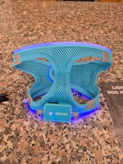 Feycig LED Light Up Dog Harness, Fluorescent Blue, Small, USB Rechargeable