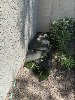 Turf