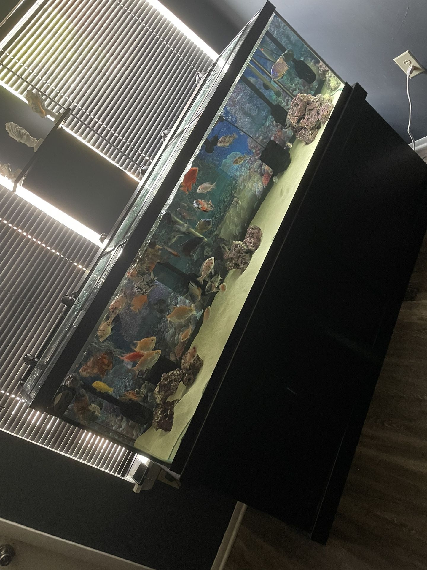 125g Fish Tank And Stand