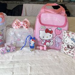 Hello Kitty/Sanrio/Labubu/Capybara/Etc🫧🩷