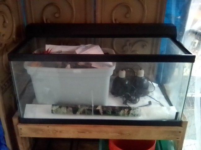 Large Fish Tank With Stand/Accessories