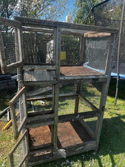 Bird Cage