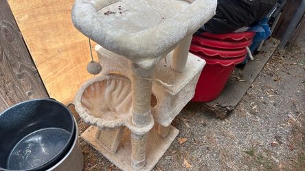 Starching post for cats