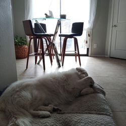 High Top Glass Table Set