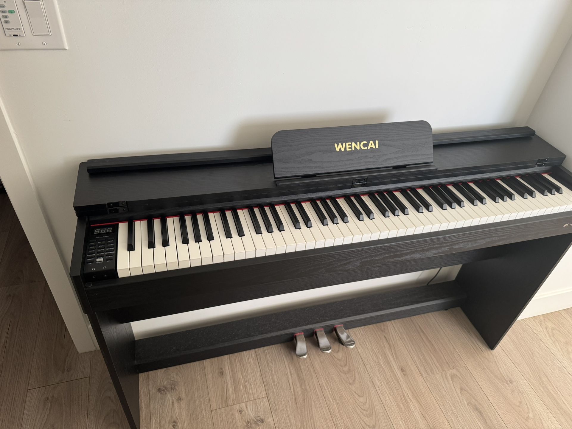 WENCAI 88 Key Fully Weighted Digital Piano Keyboard, 88 Keys Hammer Action Electric Pianos, Wooden Classic Upright Electronic Piano for Beginner, Prof