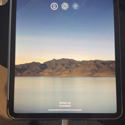 iPad Pro 11 256GB - Perfect condition - Apple case / keyboard/trackpad Case / Charger Included
