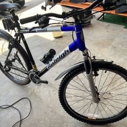 Raleigh Bicycle