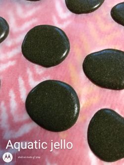 Fish, Jello Food, and Plants