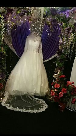 Wedding dress and veil