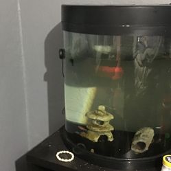10 Gallon Fish Tank