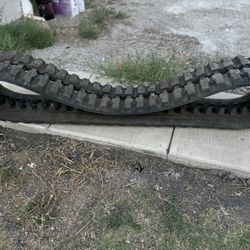 Bobcat Track 