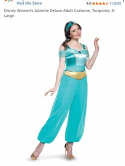 Princess Jasmine Costume