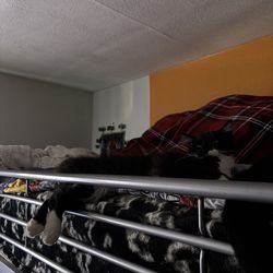 twin loft metal bedframe - FRAME ONLY