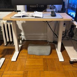 Branch Duo Standing Desk