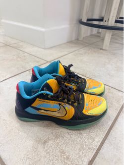 Kobe 5 prelude
