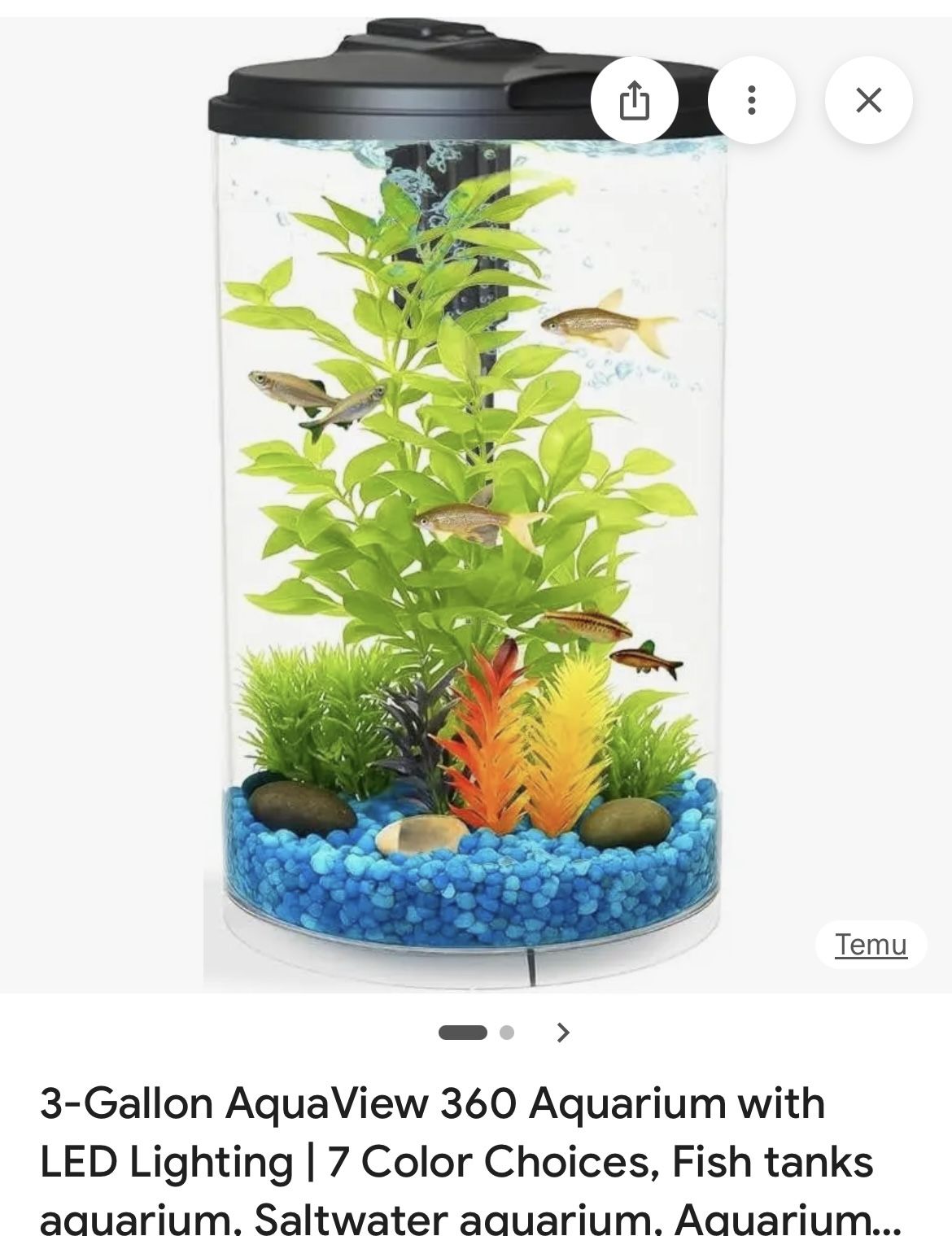 3 Gal Starter Fish Tank Christmas! Brand New