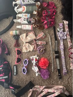 Female dog accessories