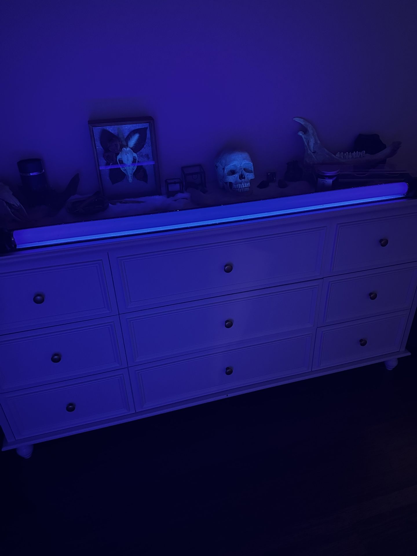 52” Blacklight