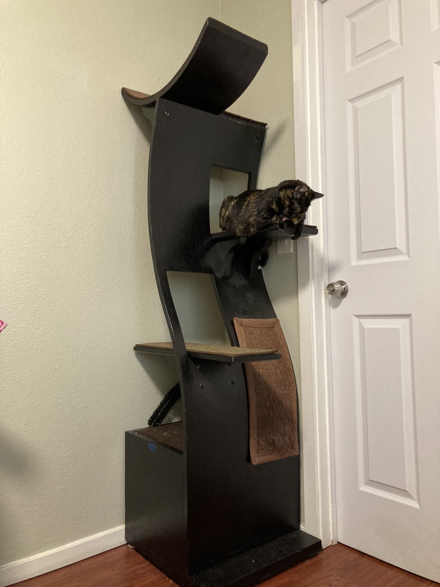 Cat Tree Available On 9/29 Wed or After