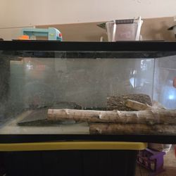 Reptile Tank 