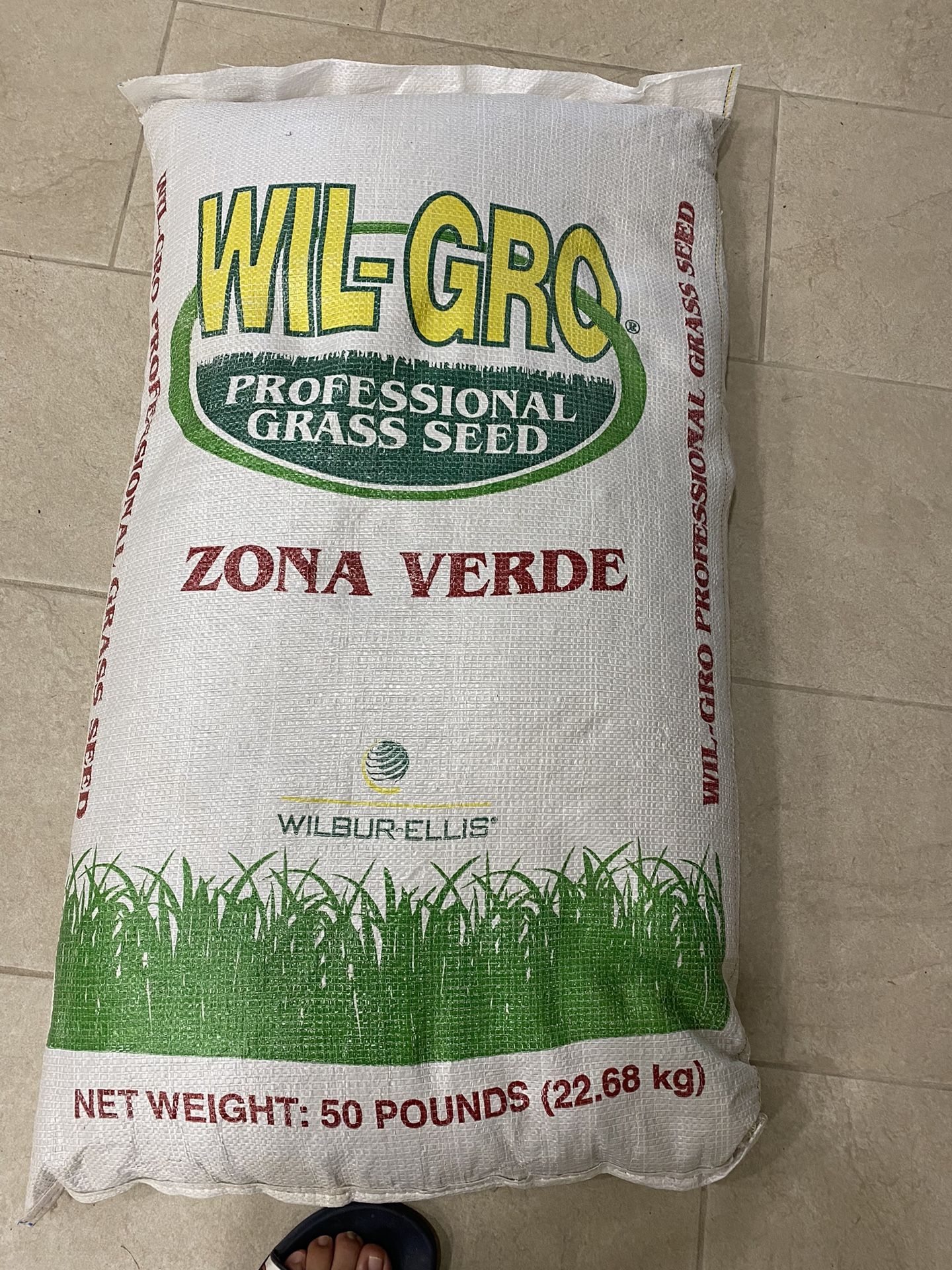 Winter Seed