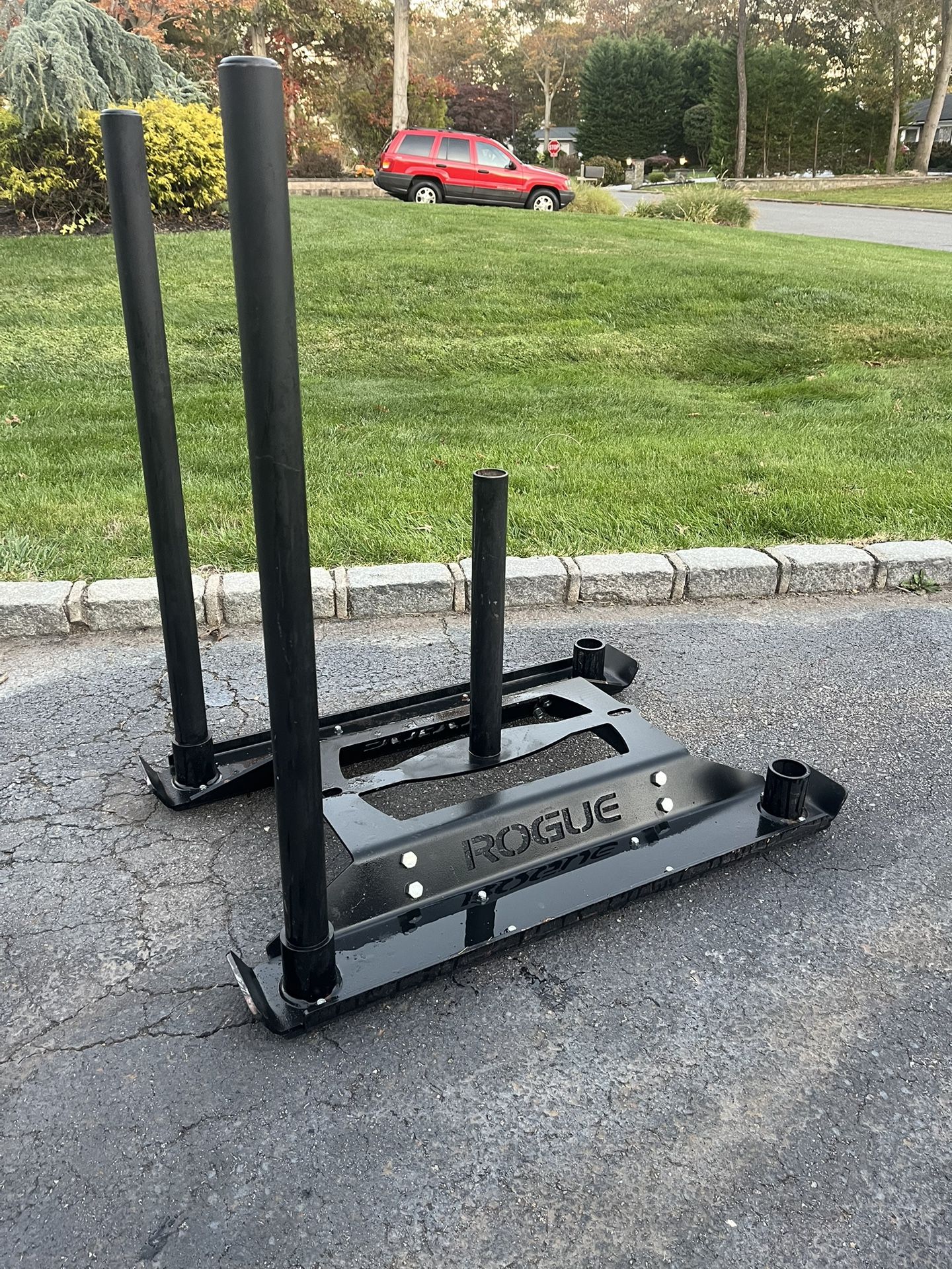 Rogue, Echo Dog Sled