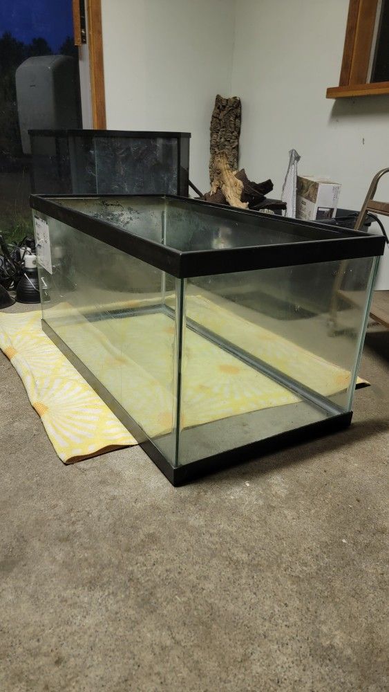 40 Gal Aquarium