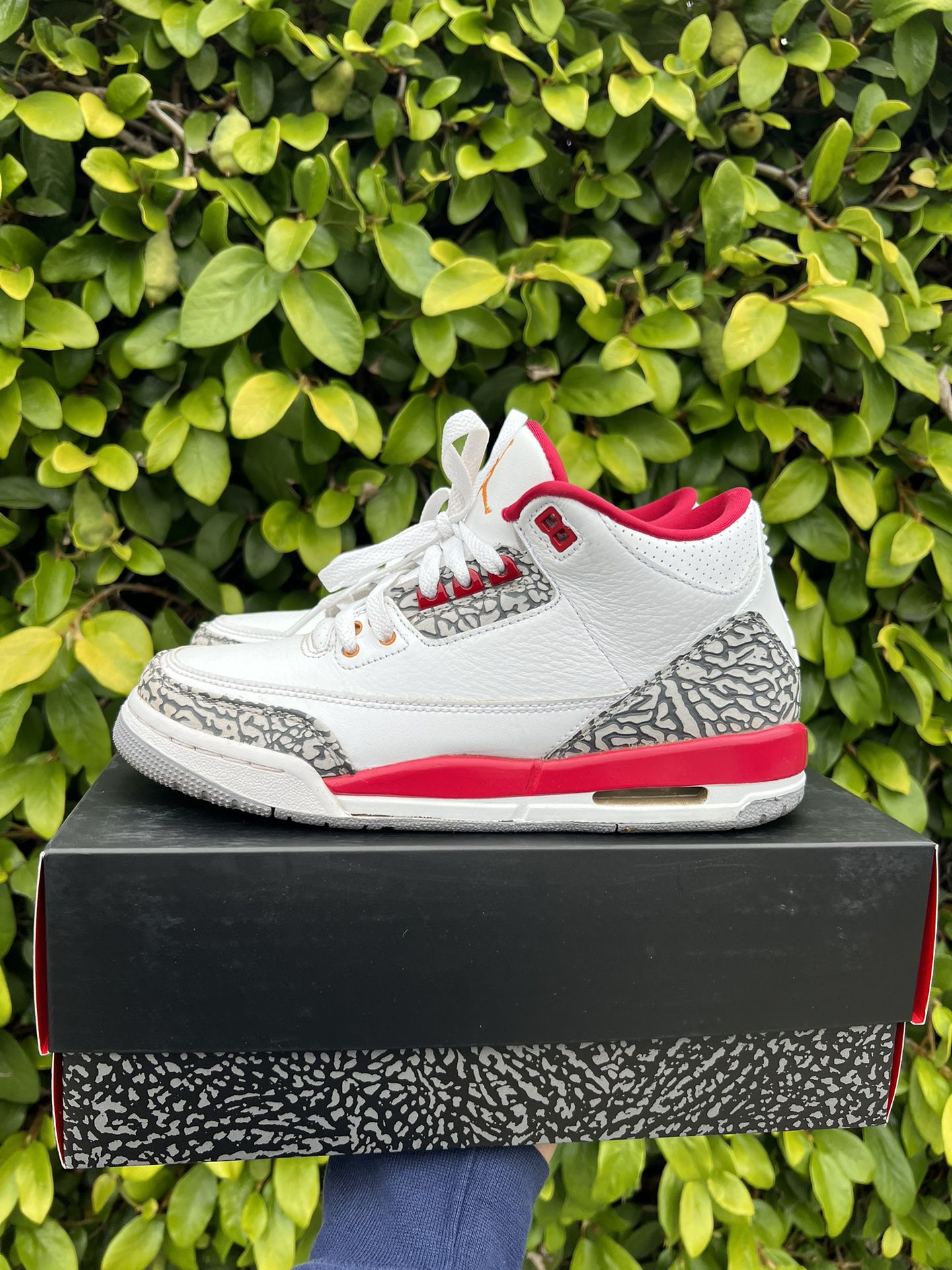 Air Jordan Retro 3 Cardinal (Size 7) Mens Youth Dunks Supreme Nike Adidas Off White Shoes 