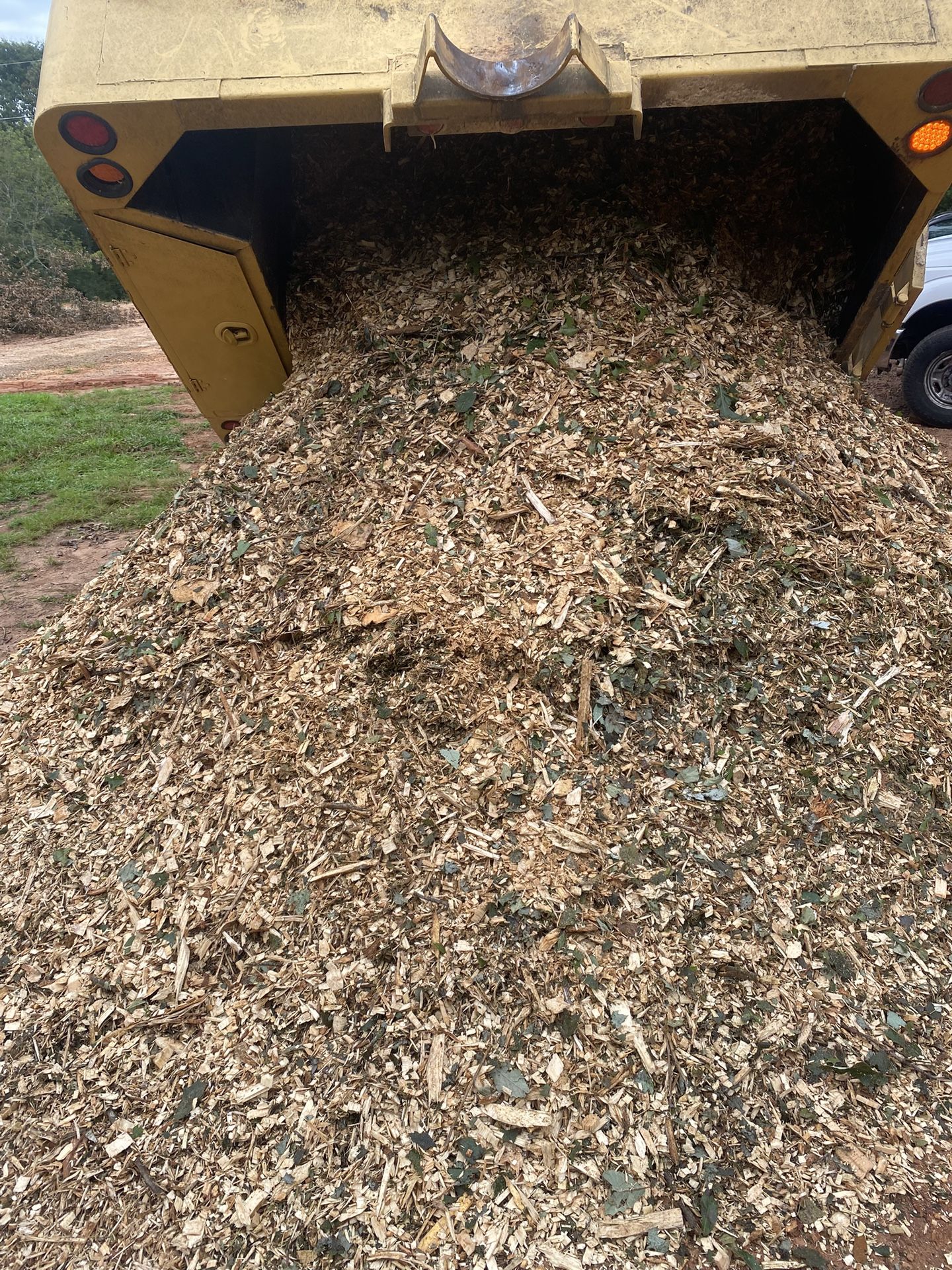 Tree Mulch Chips