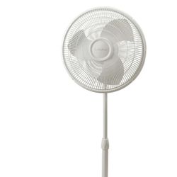 Fans $15 For 1. Buy All 3 For $40