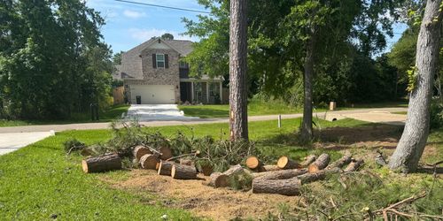 Free pine wood