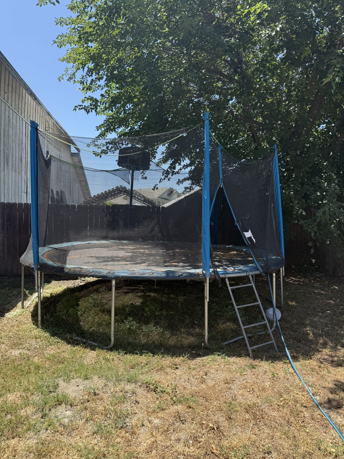 Trampoline