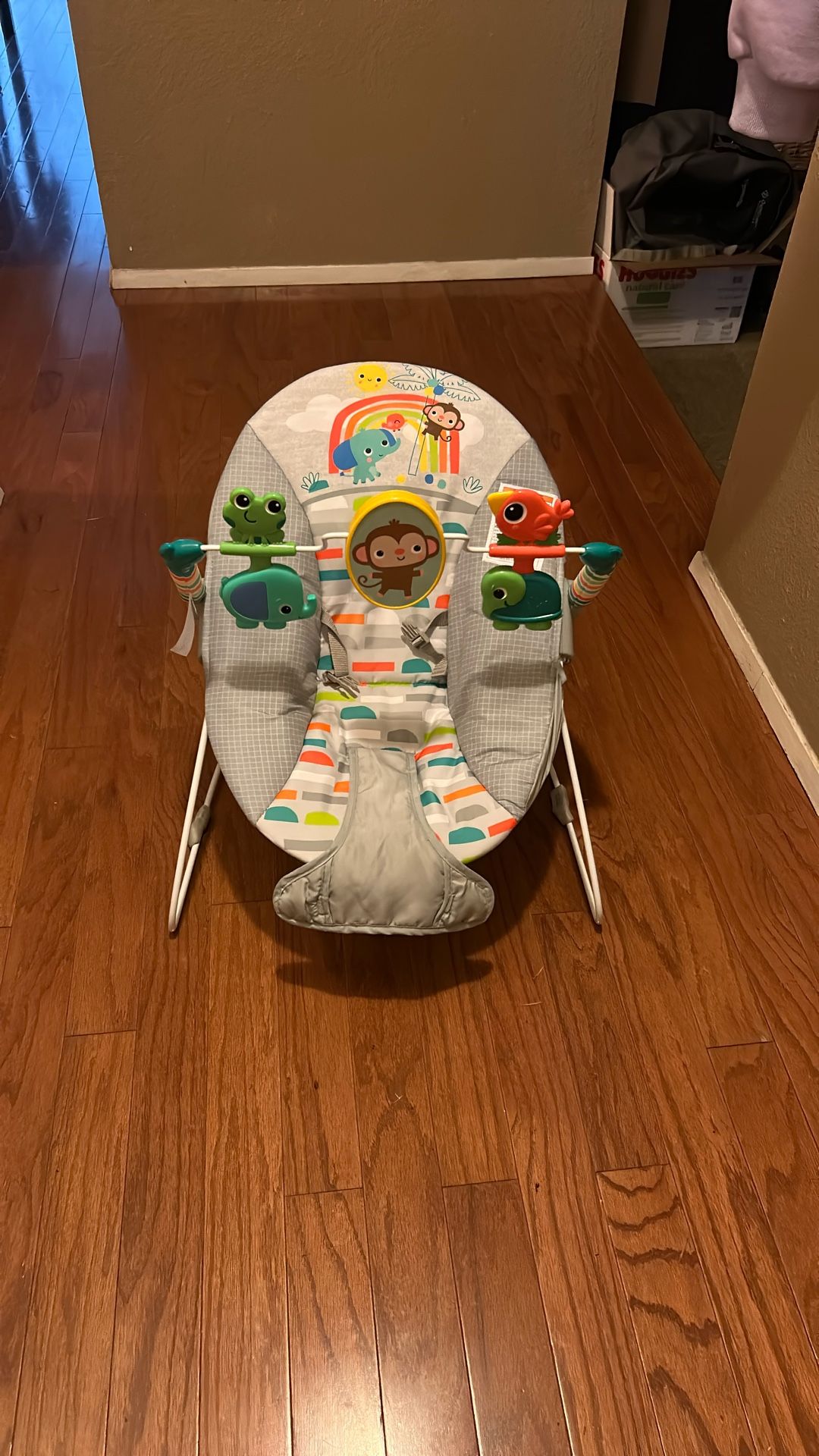 Bright Starts Baby Bouncer