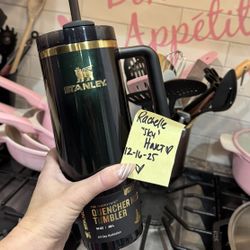 Stanley Wicked Elphaba 30 Oz Tumbler BNWT