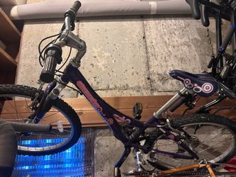 Trek MT 220 Kids Bike