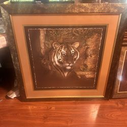 Tiger And lion Paintings