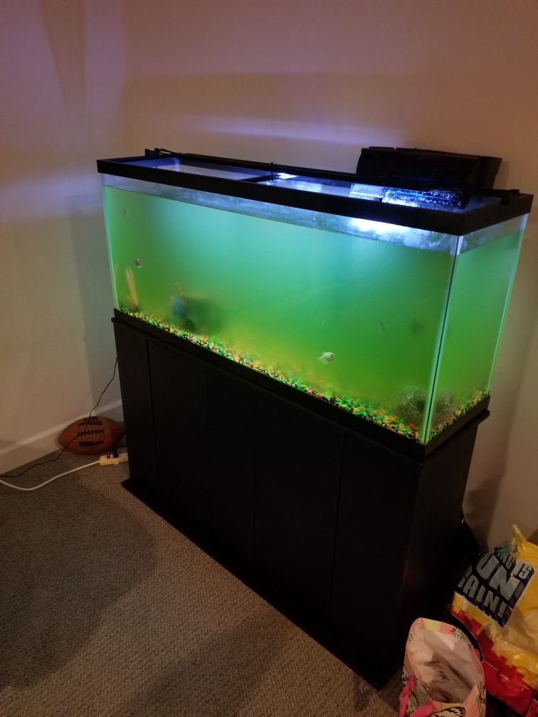 55 fish tank for sale