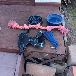 Large Dog Accessories 