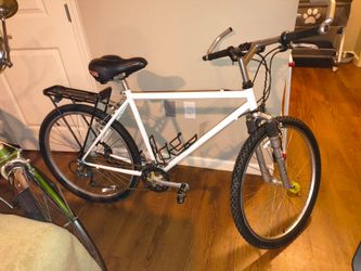 26 in DuoTrak men's bike