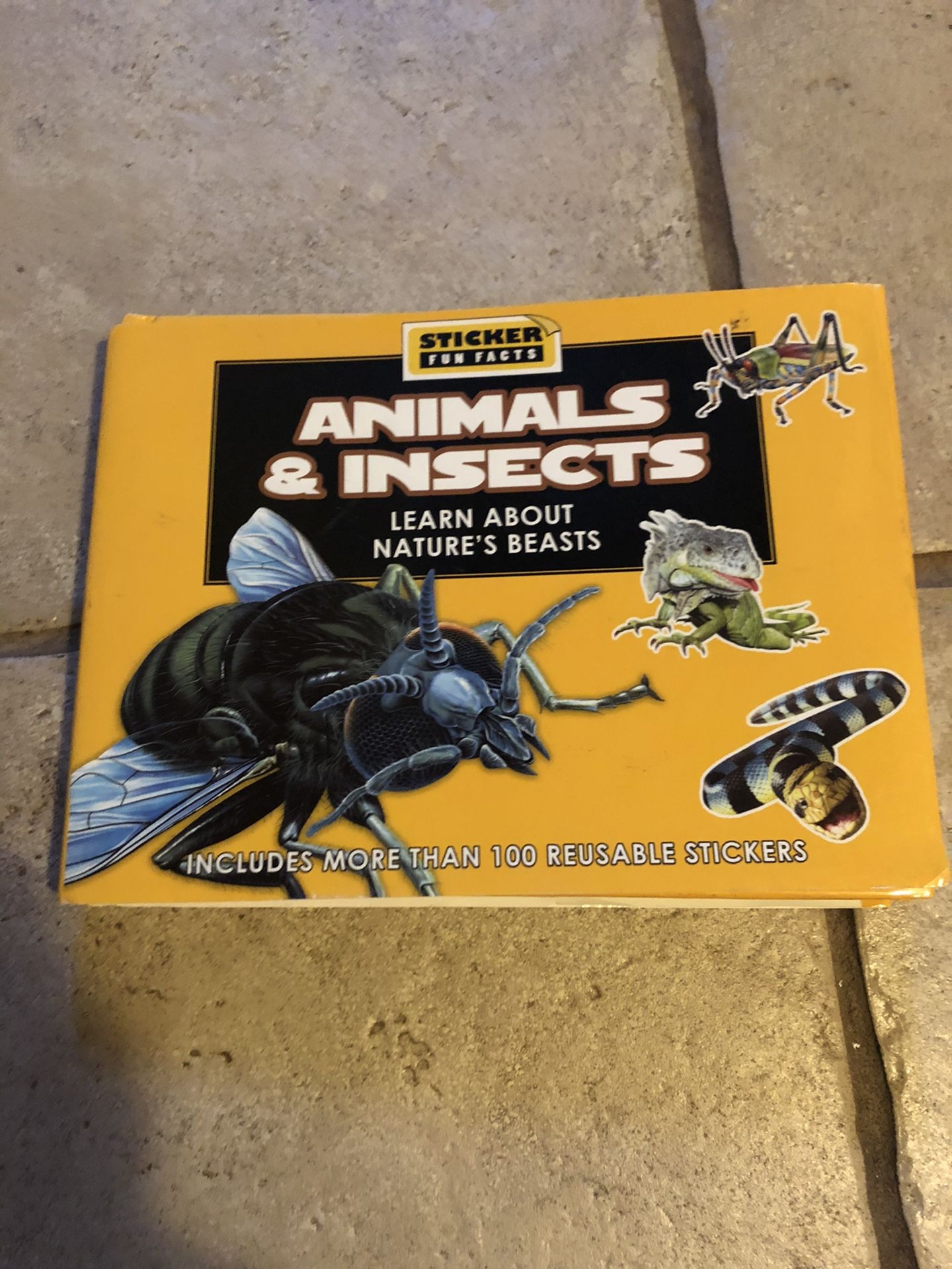 Animals & Insects Sticker Fact Hardback Book