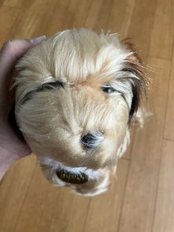 Authentic Benji Small Plush