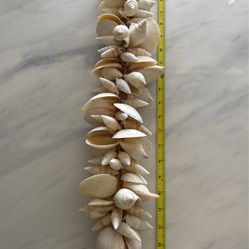 Seashell Cluster Drop 