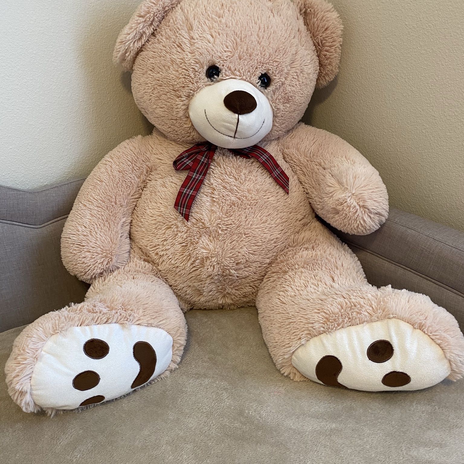 Large Teddy Bear